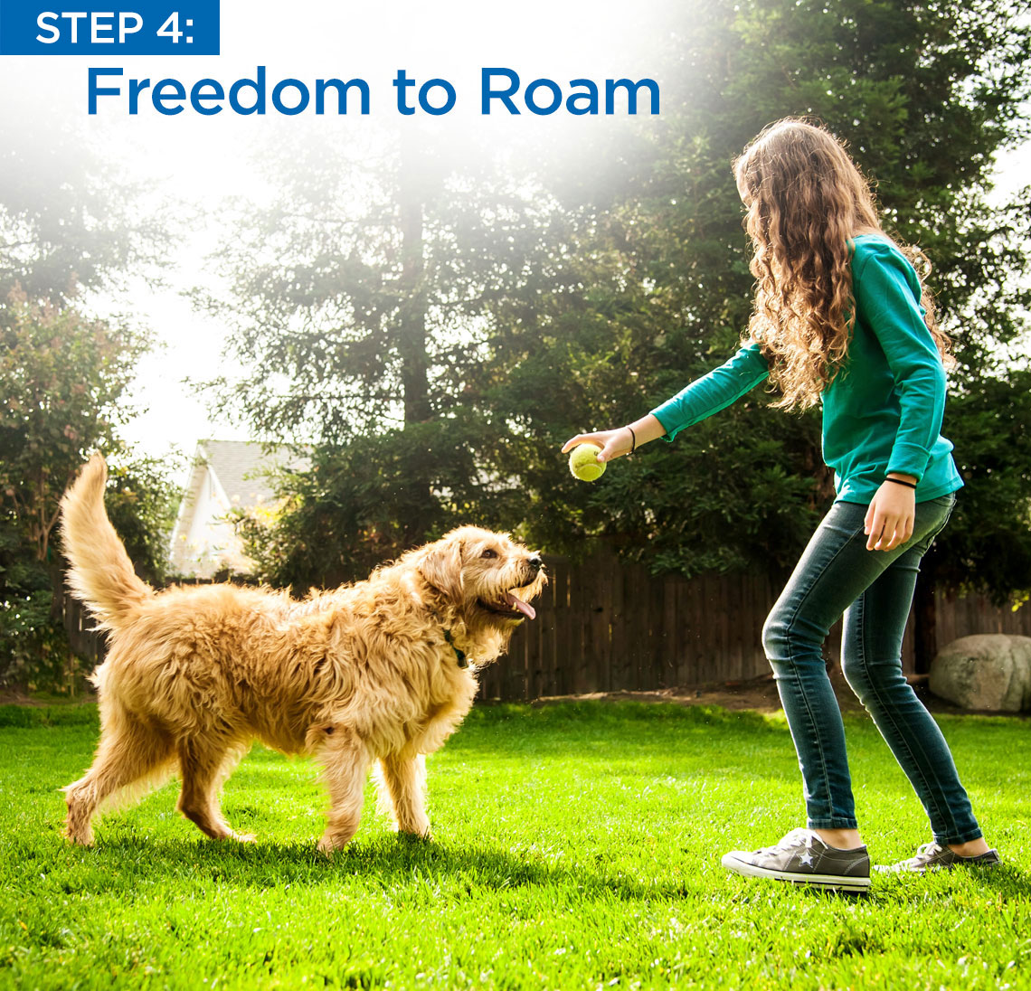 Boundary Plus Smart™ Fence Invisible Fence® Brand